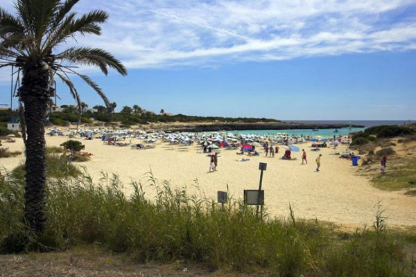 Cala en Bosch